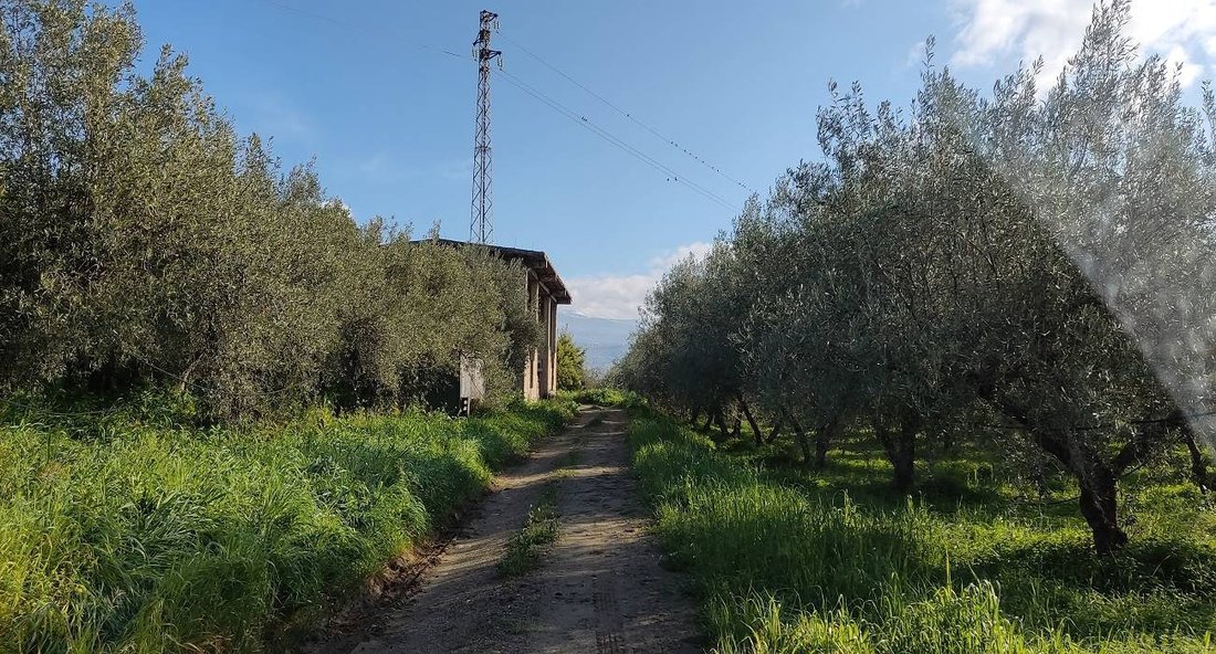 Land in Centuripe, Sicily, Italy 4 - 16722556