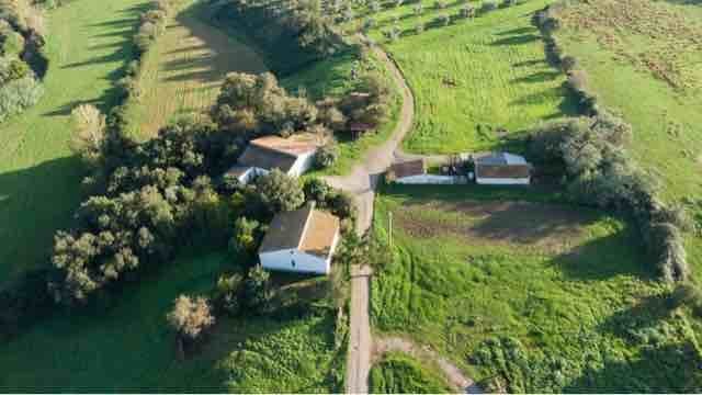 Apartment in Roccastrada, Tuscany, Italy 1 - 16723699
