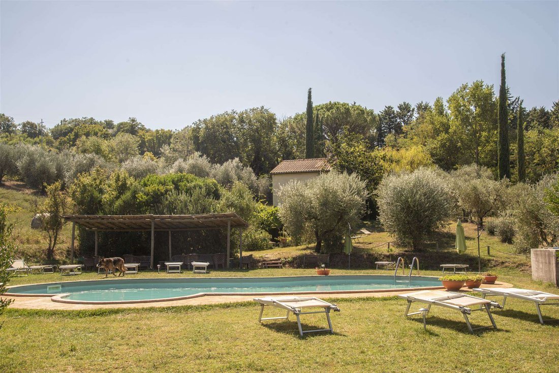 Cinigiano, Tuscany, Italy 3 - 16723624