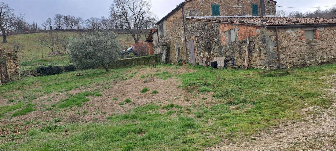 Andere in Scansano, Toskana, Italien 3 - 16724571