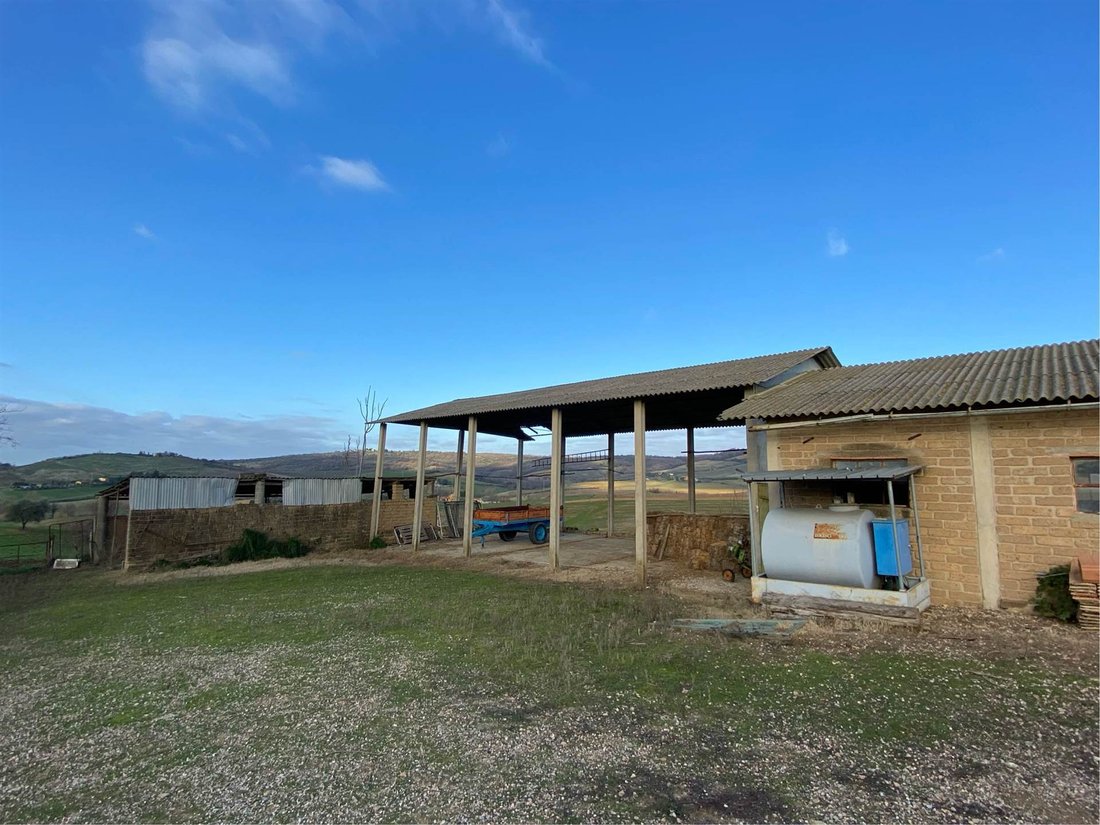 Country House in Magliano in Toscana, Tuscany, Italy 4 - 16724450