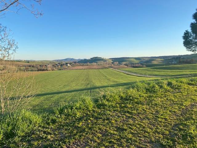 Apartment in Magliano in Toscana, Tuscany, Italy 3 - 16724913