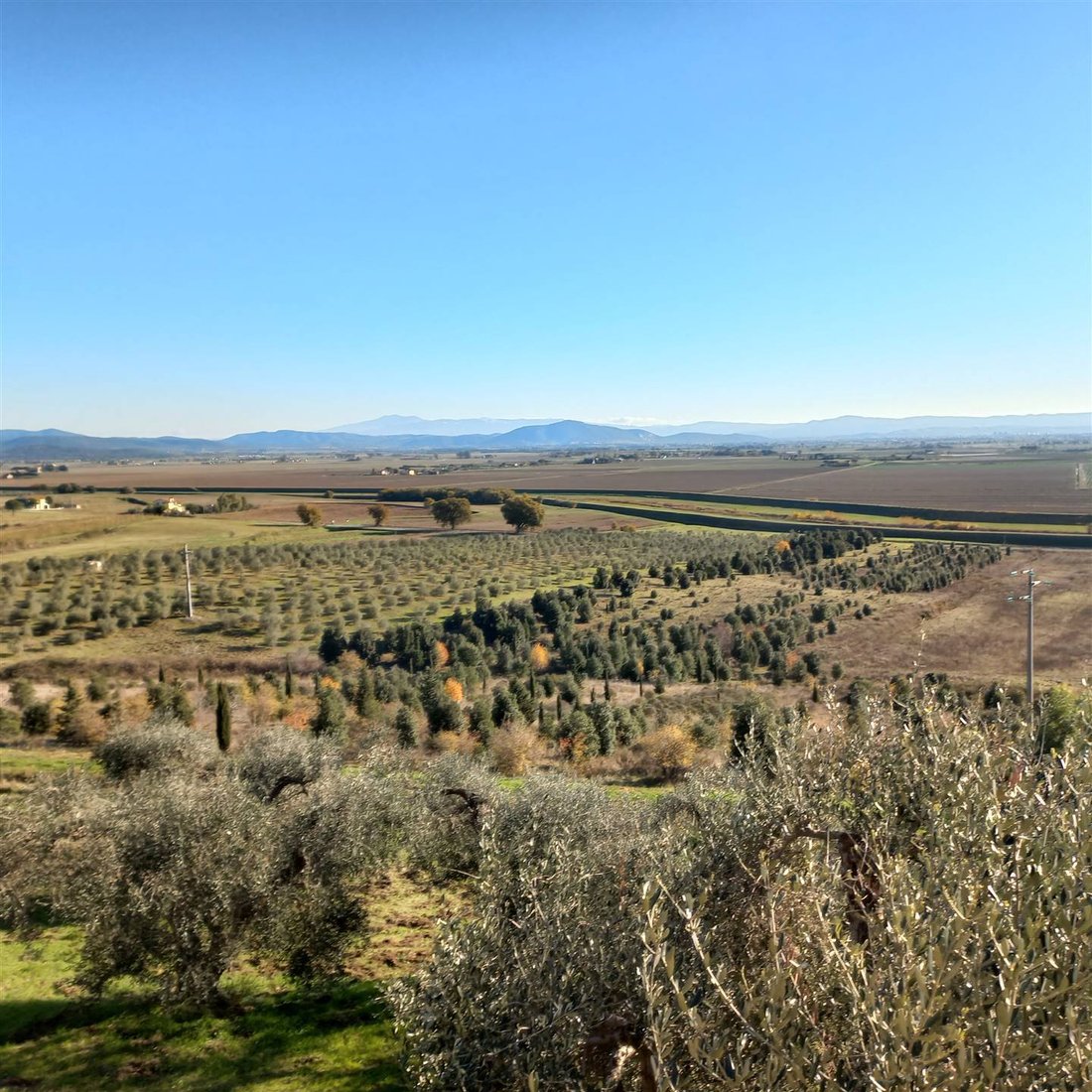 Tirli-Vetulonia-Buriano, Castiglione della Pescaia, Tuscany 5 - 16724903