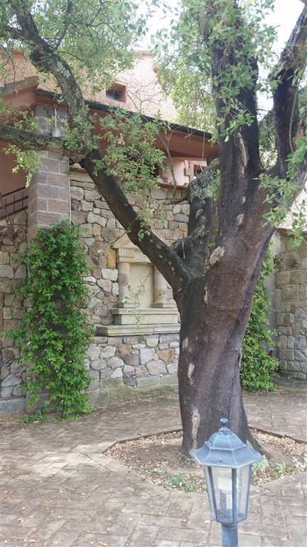 Roccastrada, Tuscany, Italy 4 - 16722222