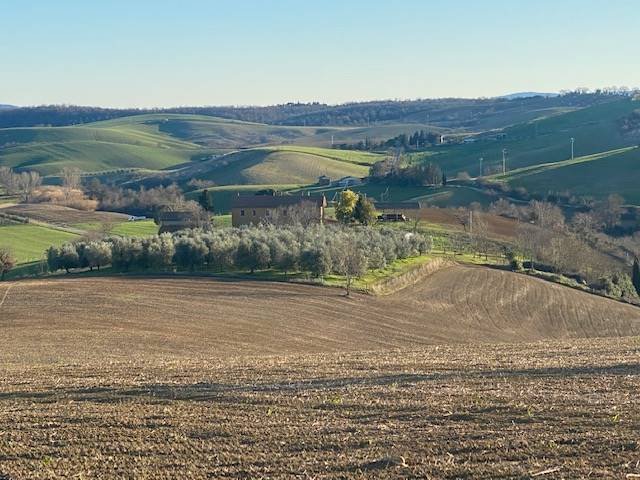 Apartment in Magliano in Toscana, Tuscany, Italy 1 - 16724913