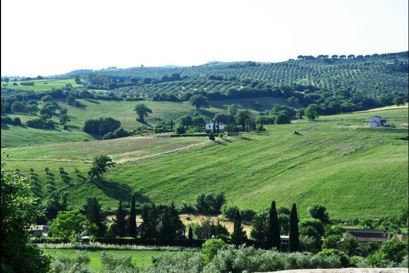 Country House in Magliano in Toscana, Tuscany, Italy 2 - 16724412