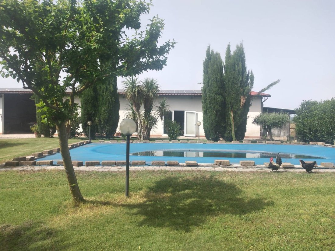 Braccagni, Grosseto, Tuscany 1 - 16724725