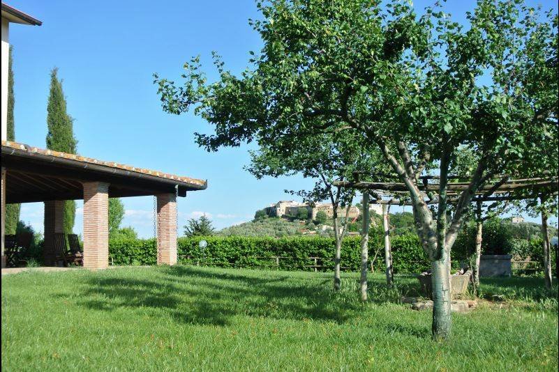 Country House in Magliano in Toscana, Tuscany, Italy 3 - 16724412