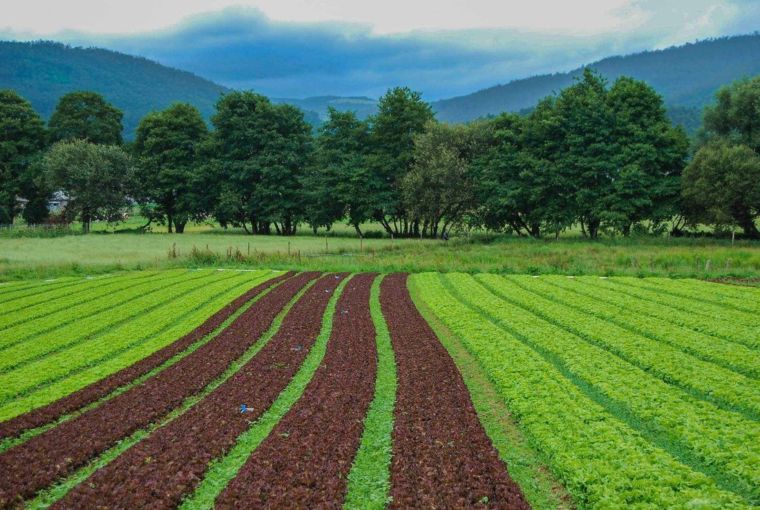 Farm Ranch in Saint Thomas - Colognola, Bergamo, Lombardy 1 - 16722513