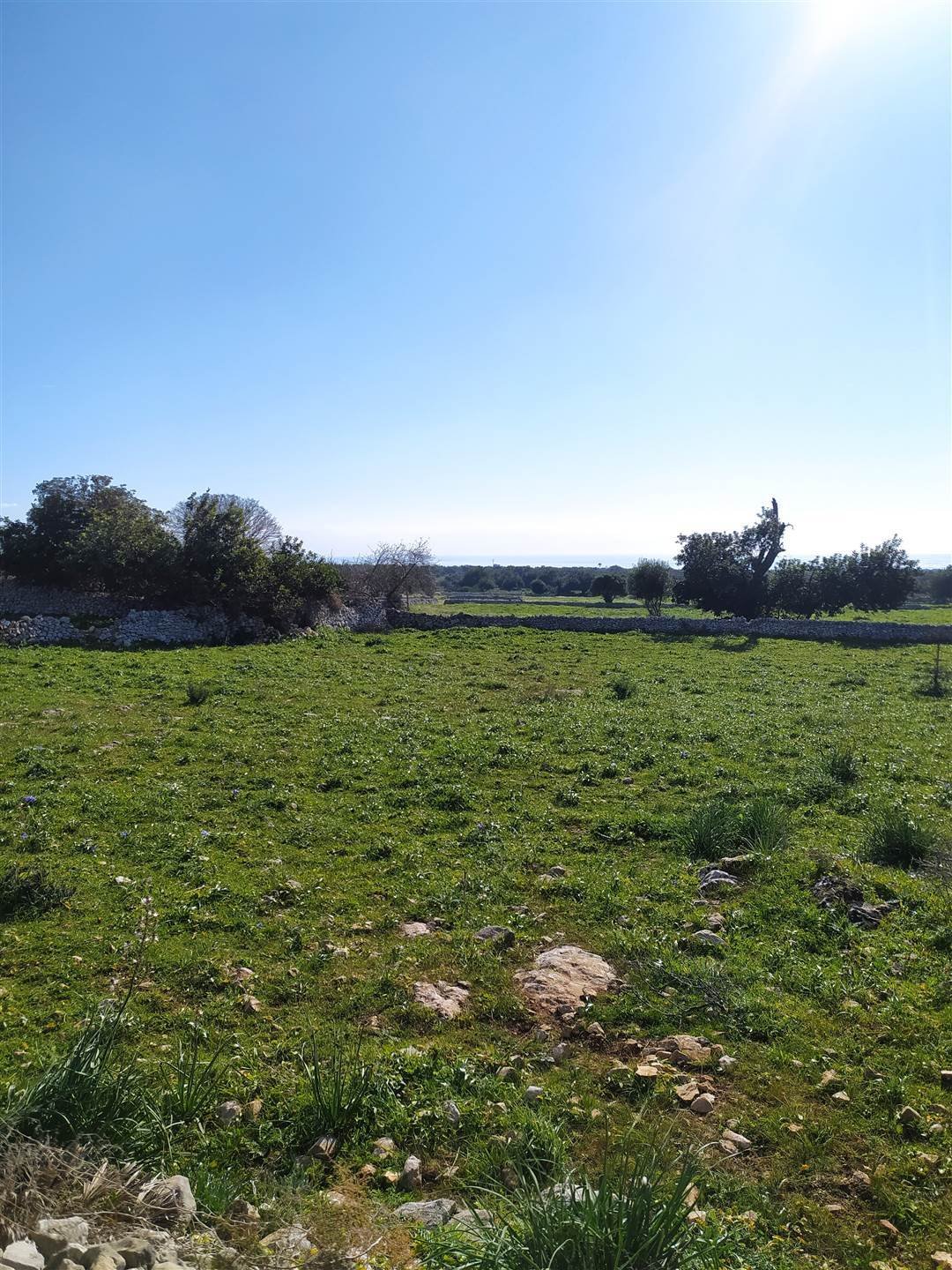 Land in Scicli, Sicily, Italy 2 - 16723630