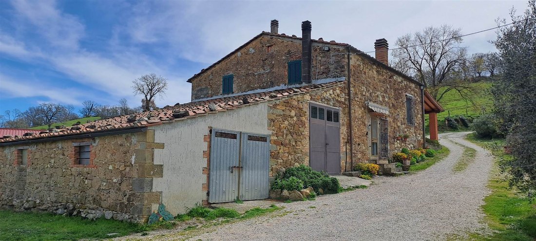 Andere in Scansano, Toskana, Italien 1 - 16724571