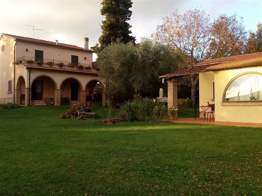Scansano, Tuscany, Italy 1 - 16722454