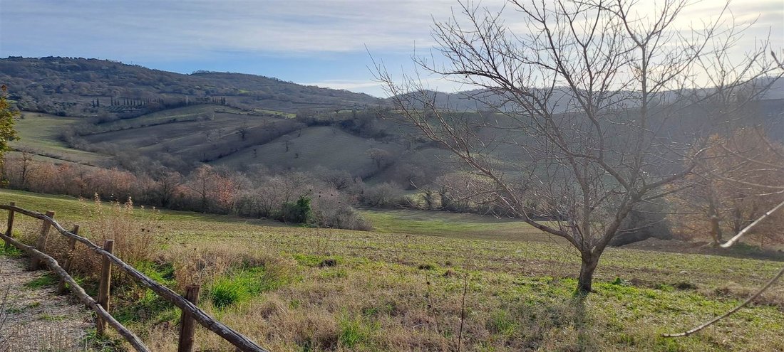 Apartment in Manciano, Tuscany, Italy 4 - 16724318