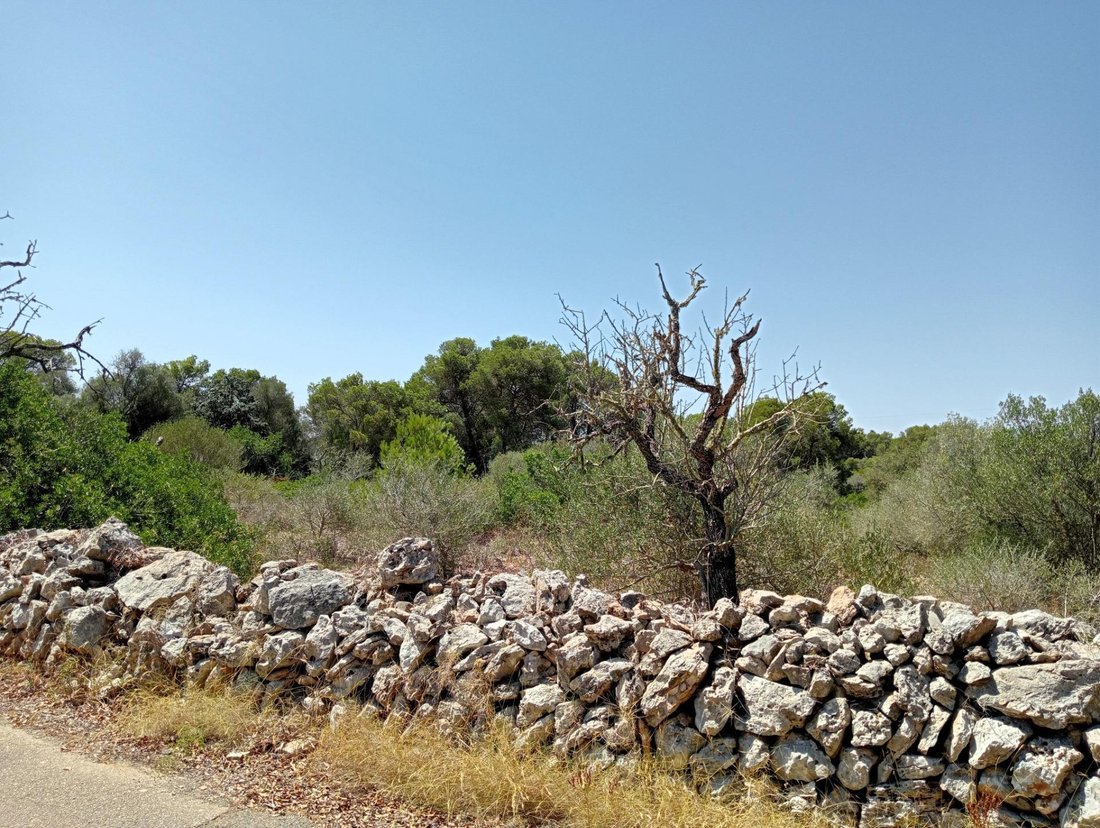 Santanyi, Balearic Islands, Spain 4 - 16186555