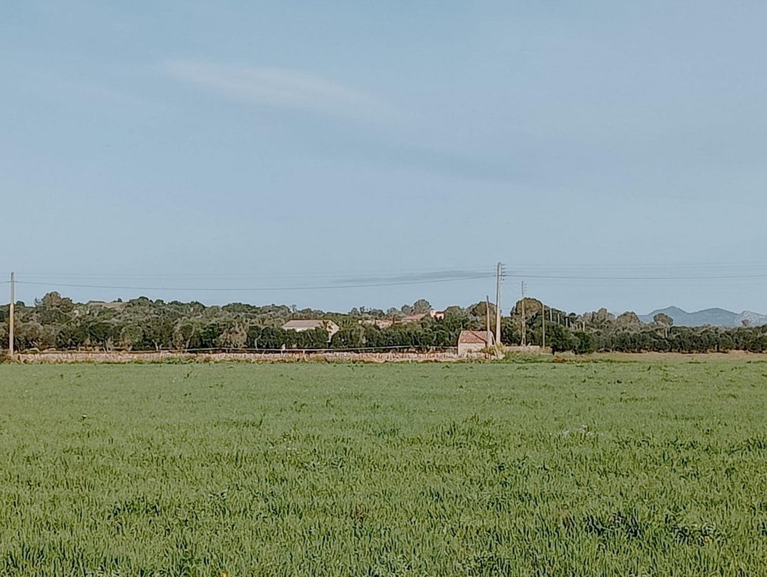 Campos, Balearic Islands, Spain 3 - 16186240