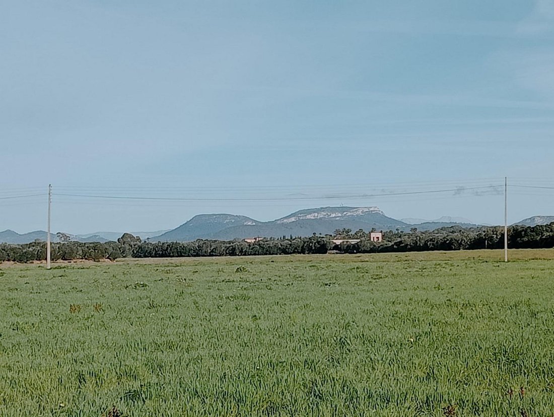 Campos, Balearic Islands, Spain 2 - 16186240