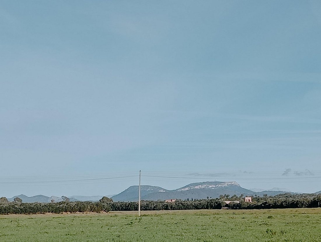 Campos, Balearic Islands, Spain 1 - 16186240