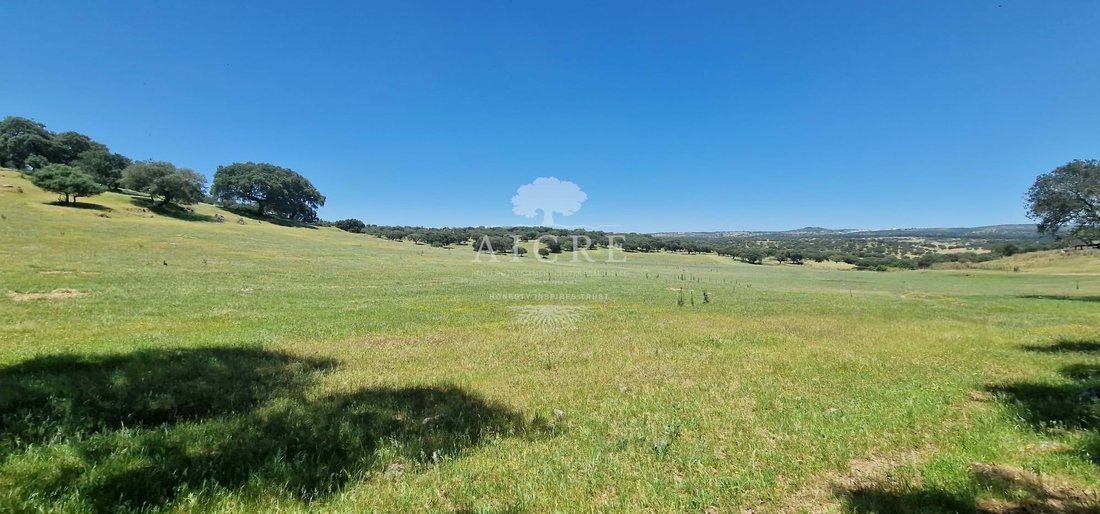 Farm Ranch in Caia, Sao Pedro e Alcacova, Portalegre District, Portugal 1 - 15895308