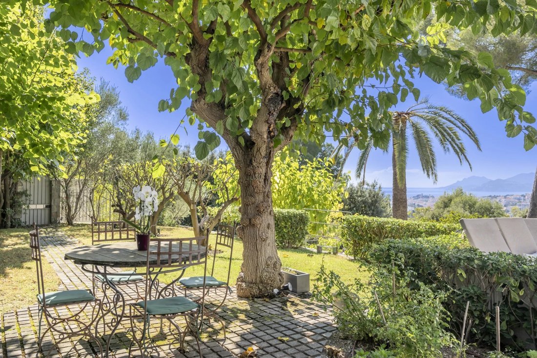 Villa in Collines, Le Cannet, France 3 - 16729497