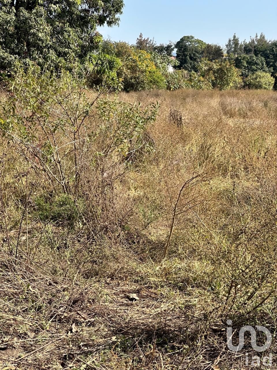 Land in Emiliano Zapata, Jalisco, Mexico 3 - 16732477