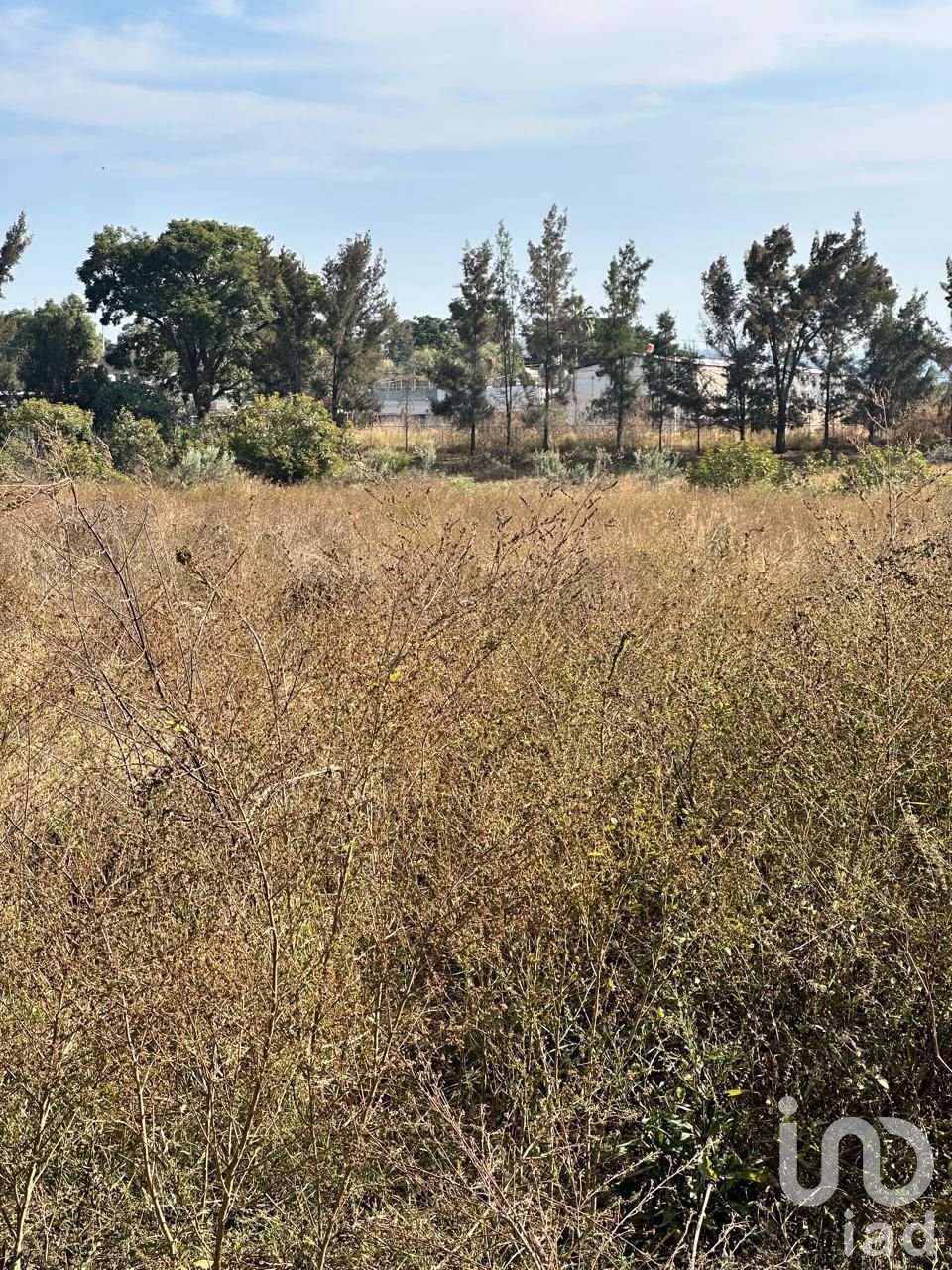 Land in Emiliano Zapata, Jalisco, Mexico 4 - 16732477