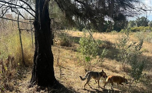 Land in Emiliano Zapata, Jalisco, Mexico 1