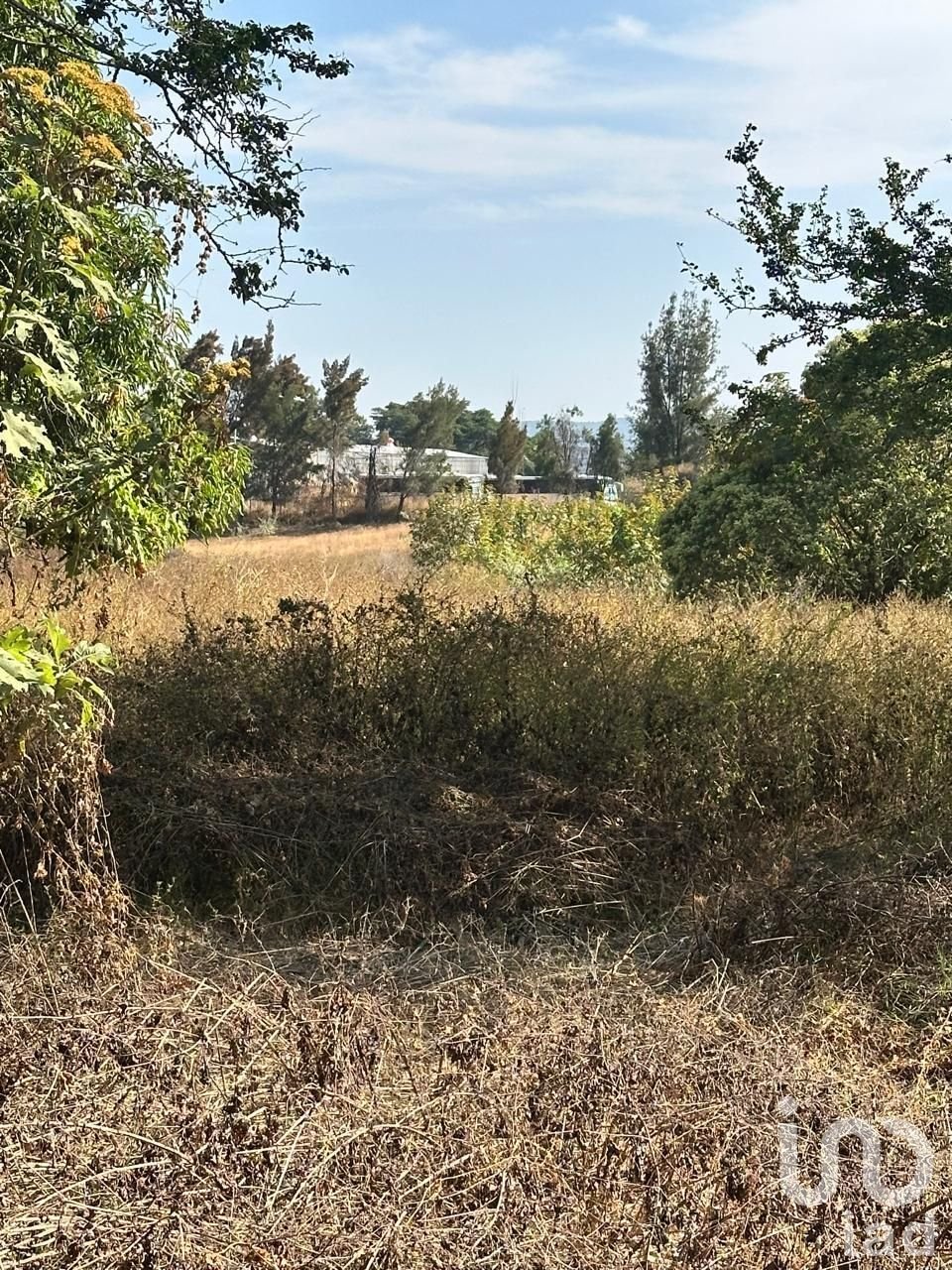Land in Emiliano Zapata, Jalisco, Mexico 5 - 16732477