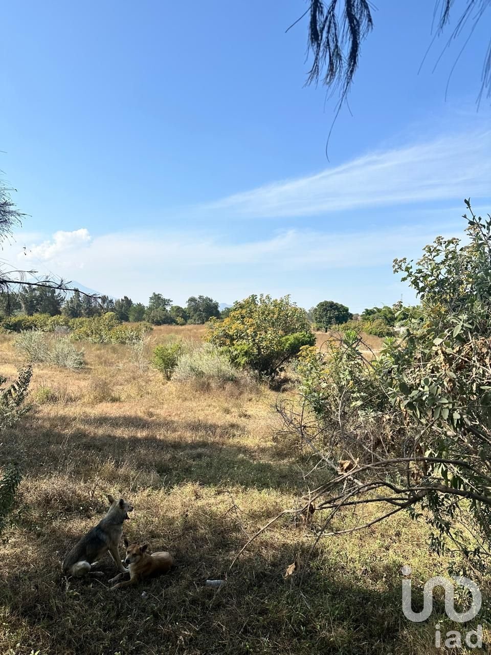 Land in Emiliano Zapata, Jalisco, Mexico 2 - 16732477