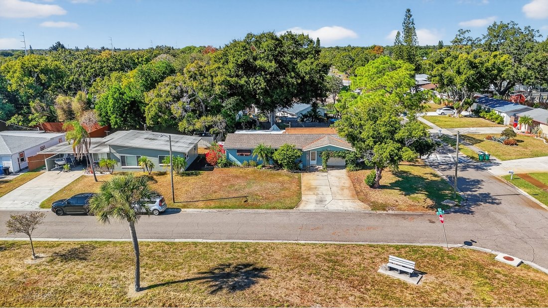 House in St. Petersburg, Florida, United States 3 - 16658545