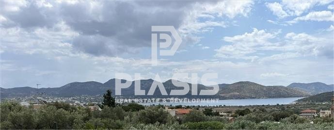 House in Anavissos, Attica, Greece 2 - 15855314