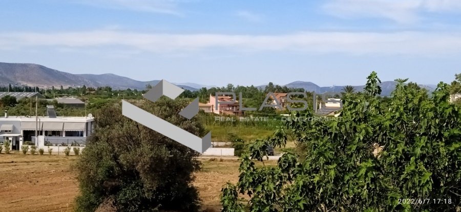 Nea Makri, Attica, Greece 2 - 15052485