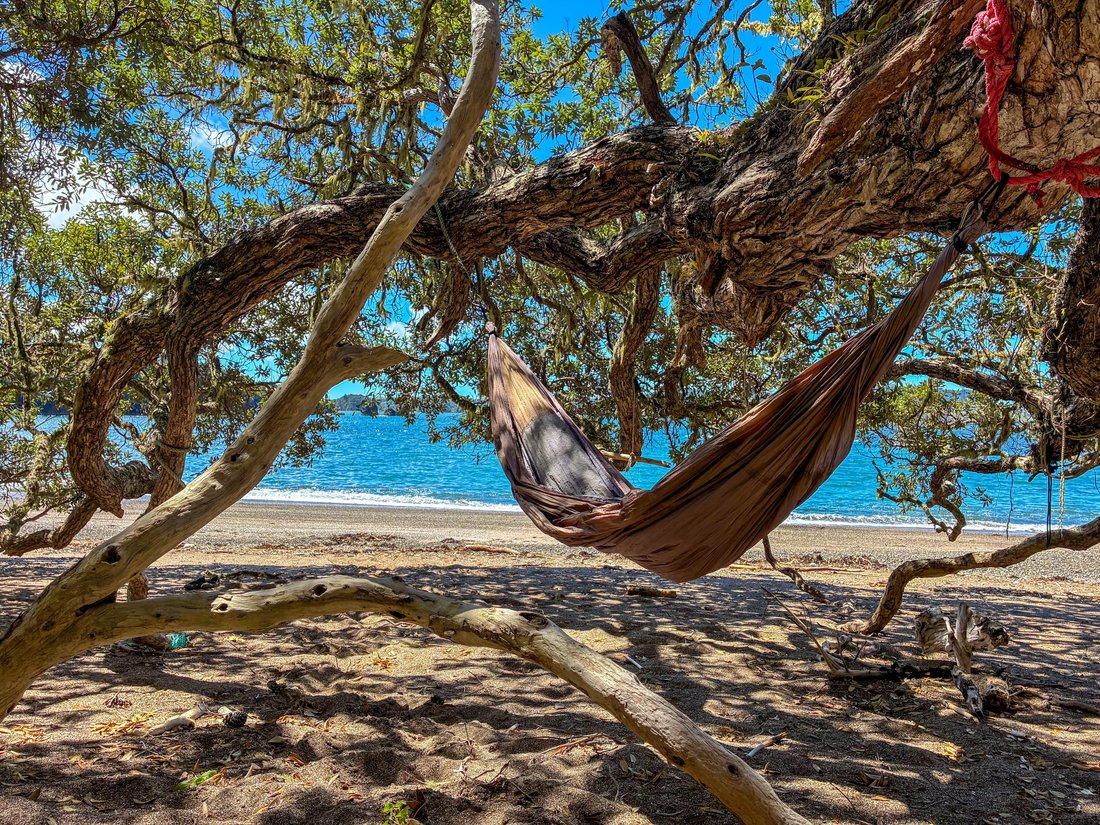Isola privata a Russell, Northland, Nuova Zelanda 3 - 16736032