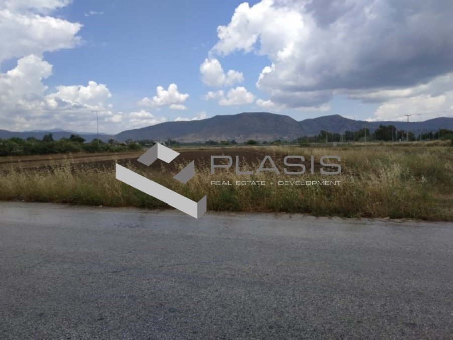 Land in Marathonas, Attica, Greece 4 - 15737292