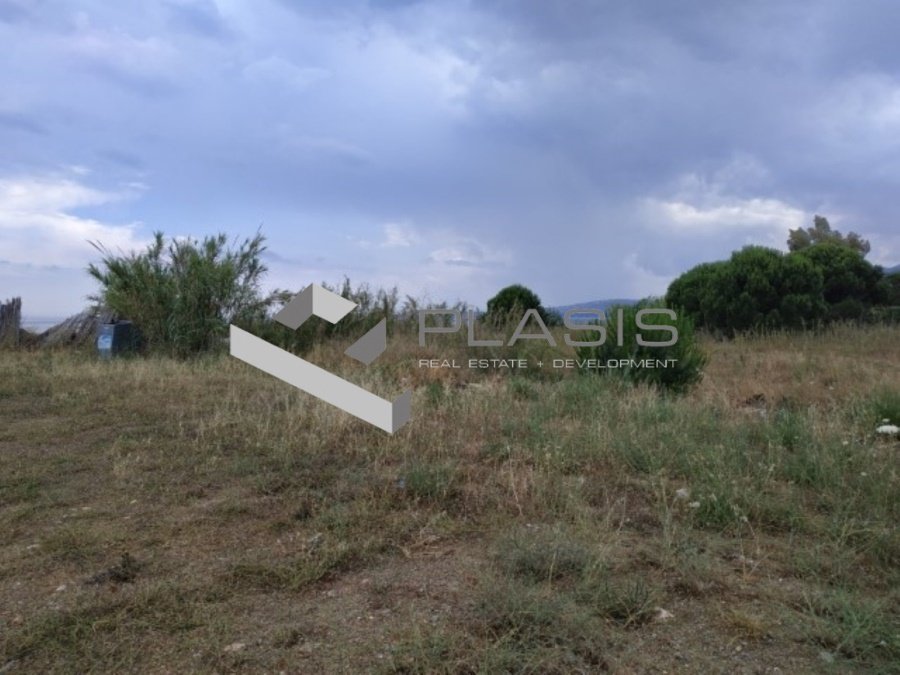 Land in Marathonas, Attica, Greece 1 - 15737292
