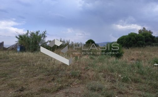 Land in Marathonas, Attica, Greece 1