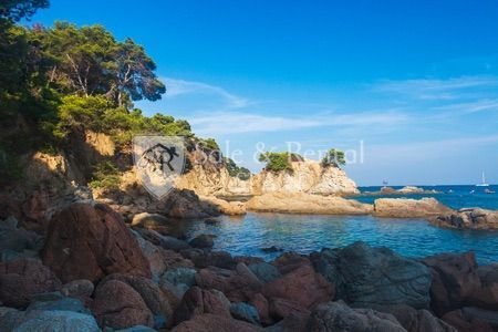 Lloret de Mar, Catalonia, Spain 2 - 16734849
