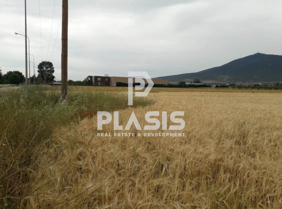 Land in Central Macedonia, Macedonia and Thrace, Greece 5 - 15463639