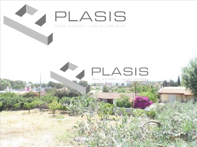 Land in Anavissos, Attica, Greece 4 - 15731667