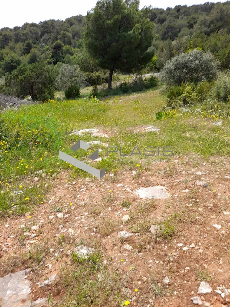 Land in Marathonas, Attica, Greece 4 - 16139081