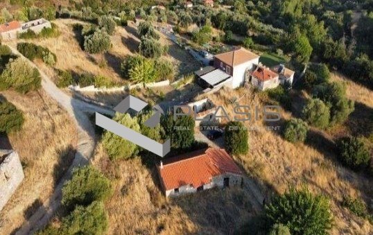 Land in Kymi - Aliveri Anna, Thessaly and Central Greece, Greece 1 - 15731134