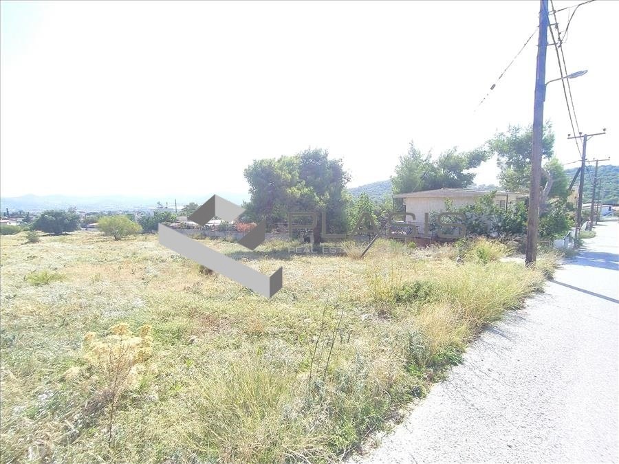 Land in Anavissos, Attica, Greece 4 - 15729604
