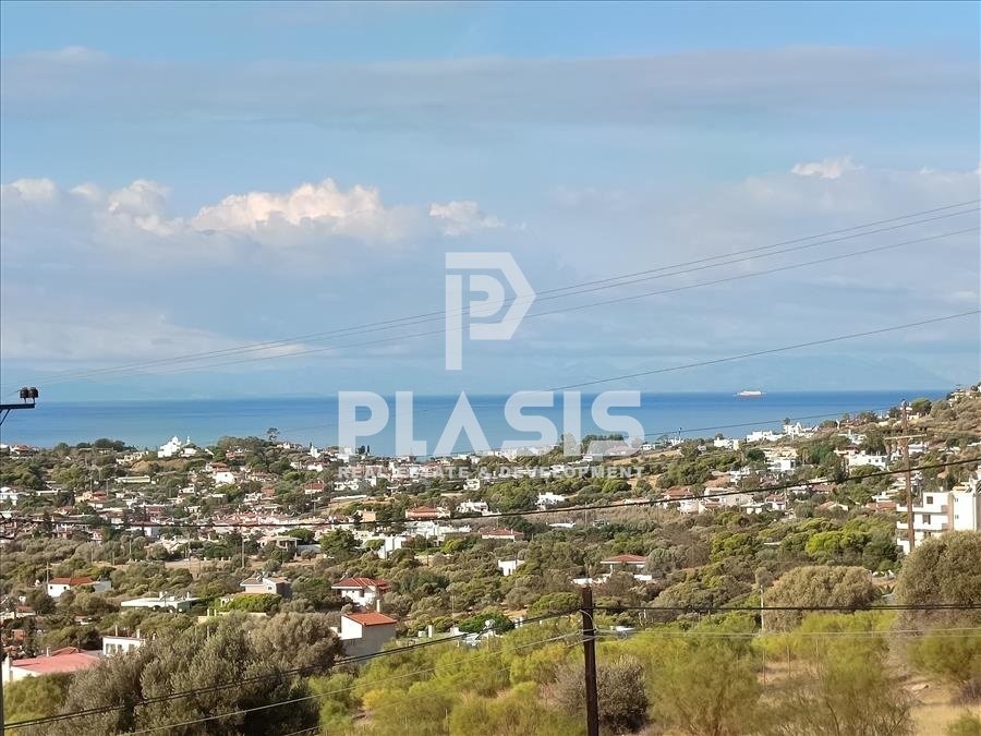 House in Anavissos, Attica, Greece 1 - 16306721