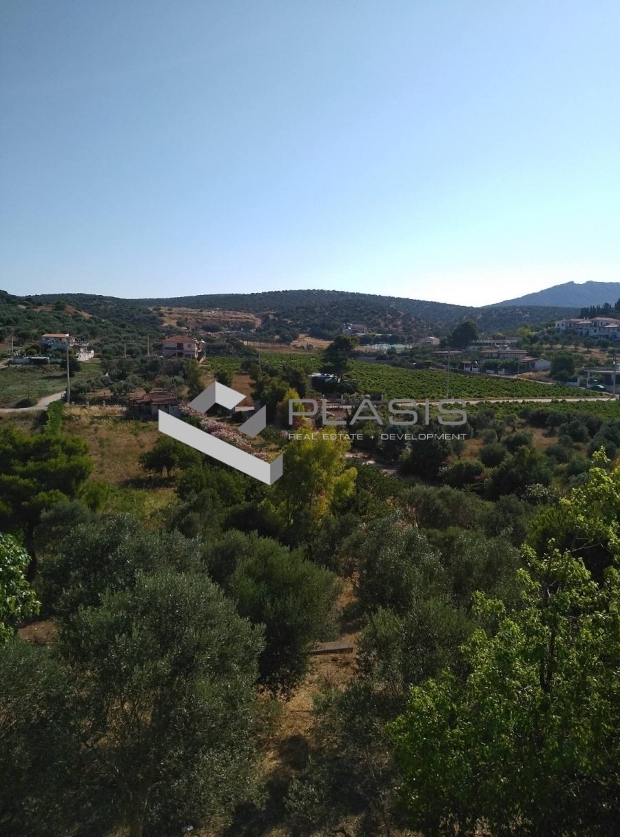 House in Markopoulo Mesogaias, Attica, Greece 5 - 16139082