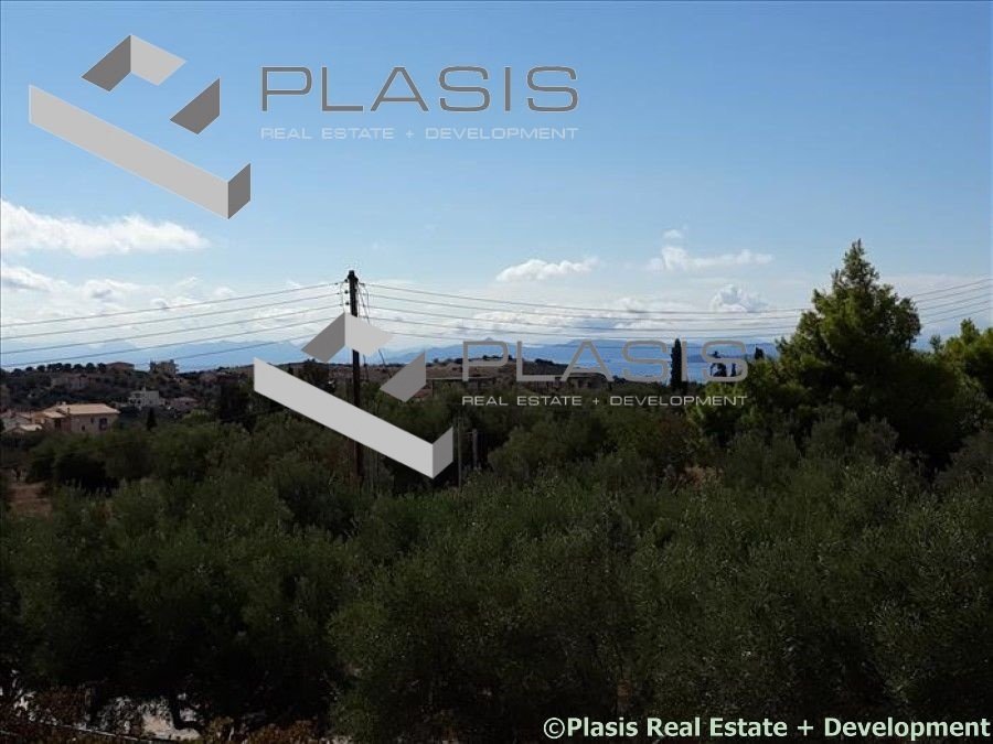 House in Kropia, Attica, Greece 3 - 15104844