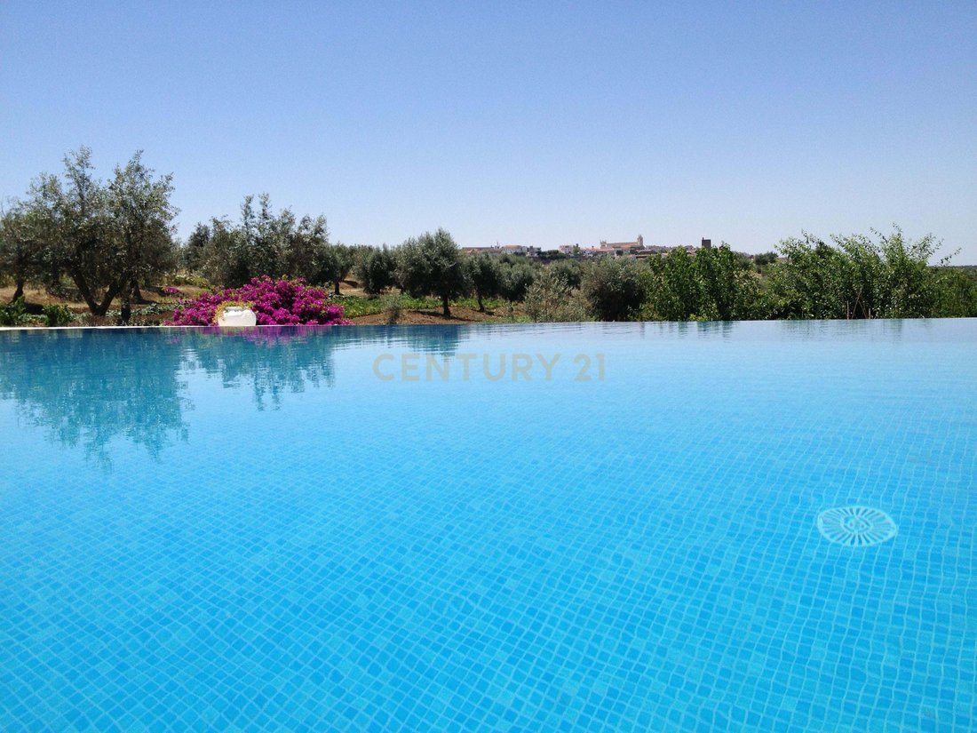Farm Ranch in Avis, Portalegre District, Portugal 4 - 16733965
