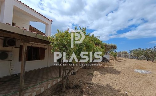 Farm Ranch in Palea Fokea, Attica, Greece 1