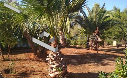 House in Kropia, Attica, Greece 1