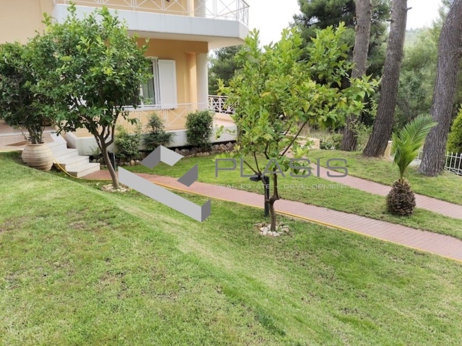 House in Pikermi, Attica, Greece 1 - 15731338