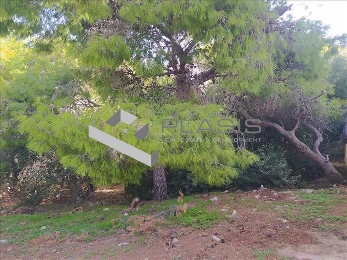Land in Saronida, Attica, Greece 3 - 15731475
