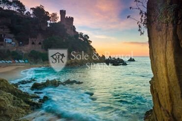 Lloret de Mar, Catalonia, Spain 5 - 16734849